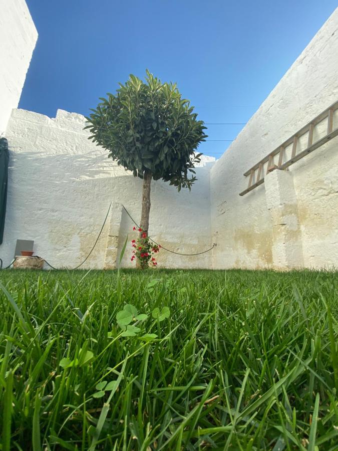 Camera Matrimoniale/Doppia con Letti Singoli con Vista Giardino