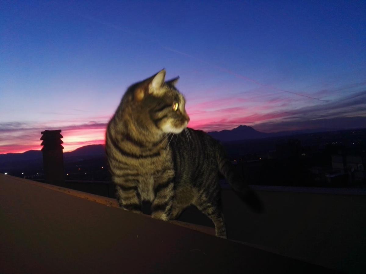 Family Studio,1059189391:JPEG