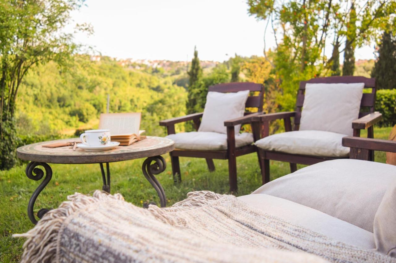 Family Room Garden View