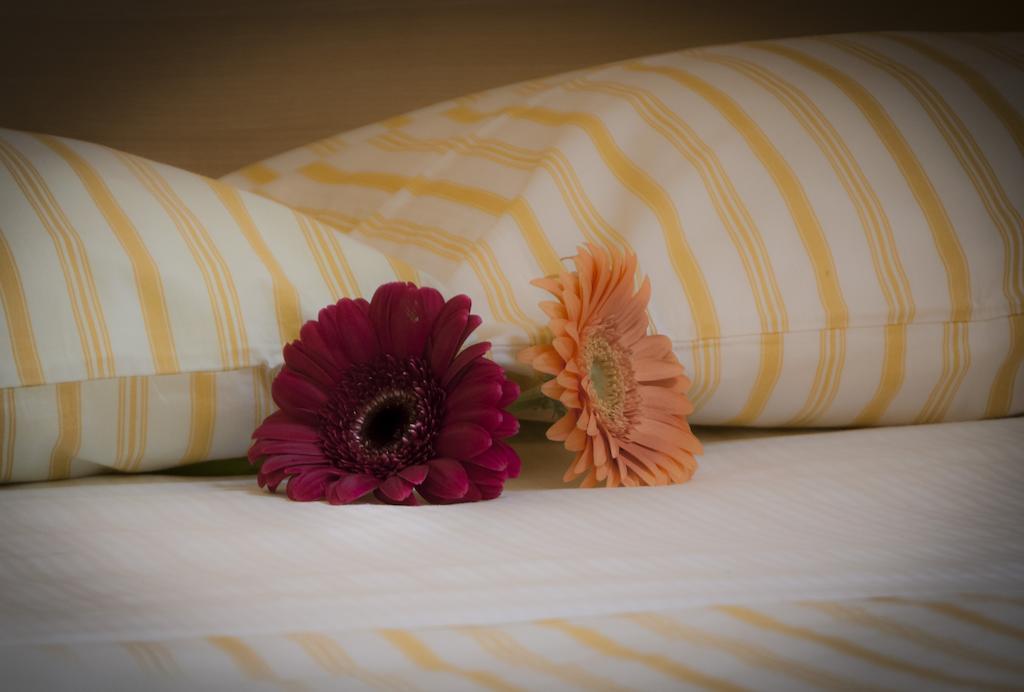 Double Room with Private Bathroom,107728326:JPEG