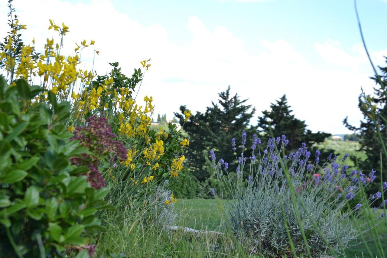 Family Room Garden View