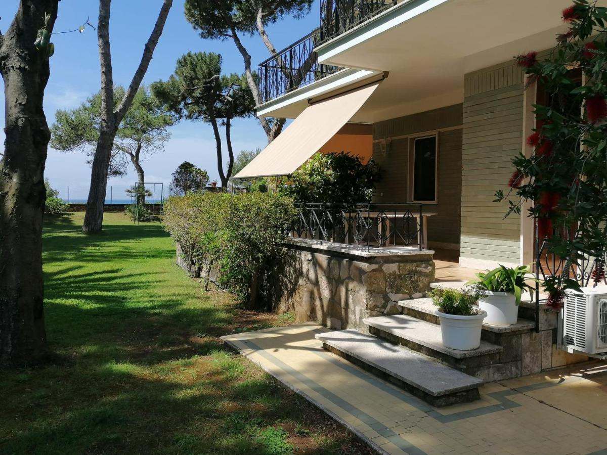 Junior Suite Terrace