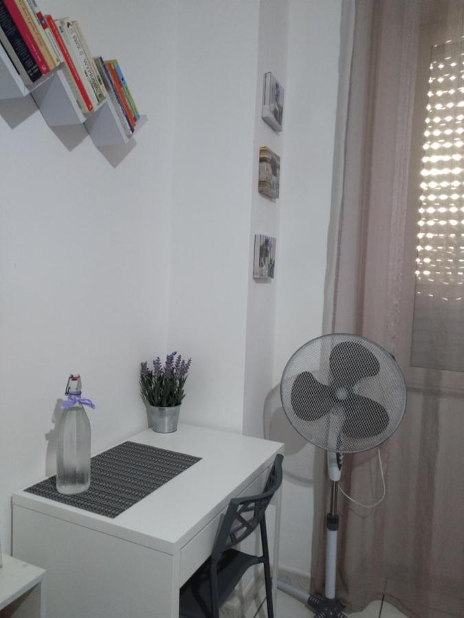 Standard Double Room with Shared Bathroom,1119048420:JPEG