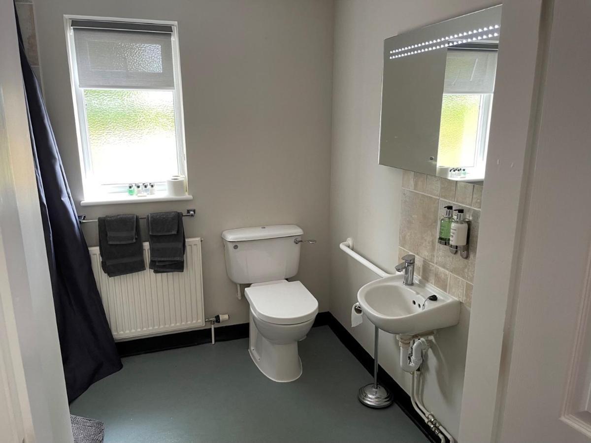 Standard King Room,1129251528:JPEG