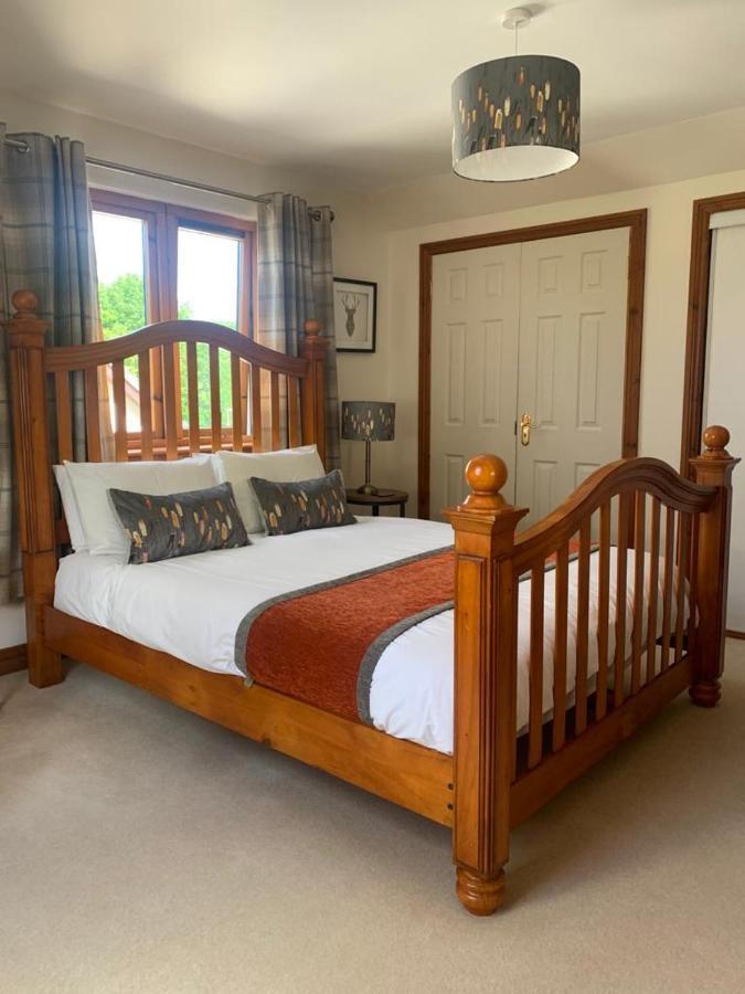 King Room,1133414940:JPEG
