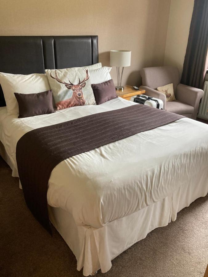 Standard King Room,1137887044:JPEG