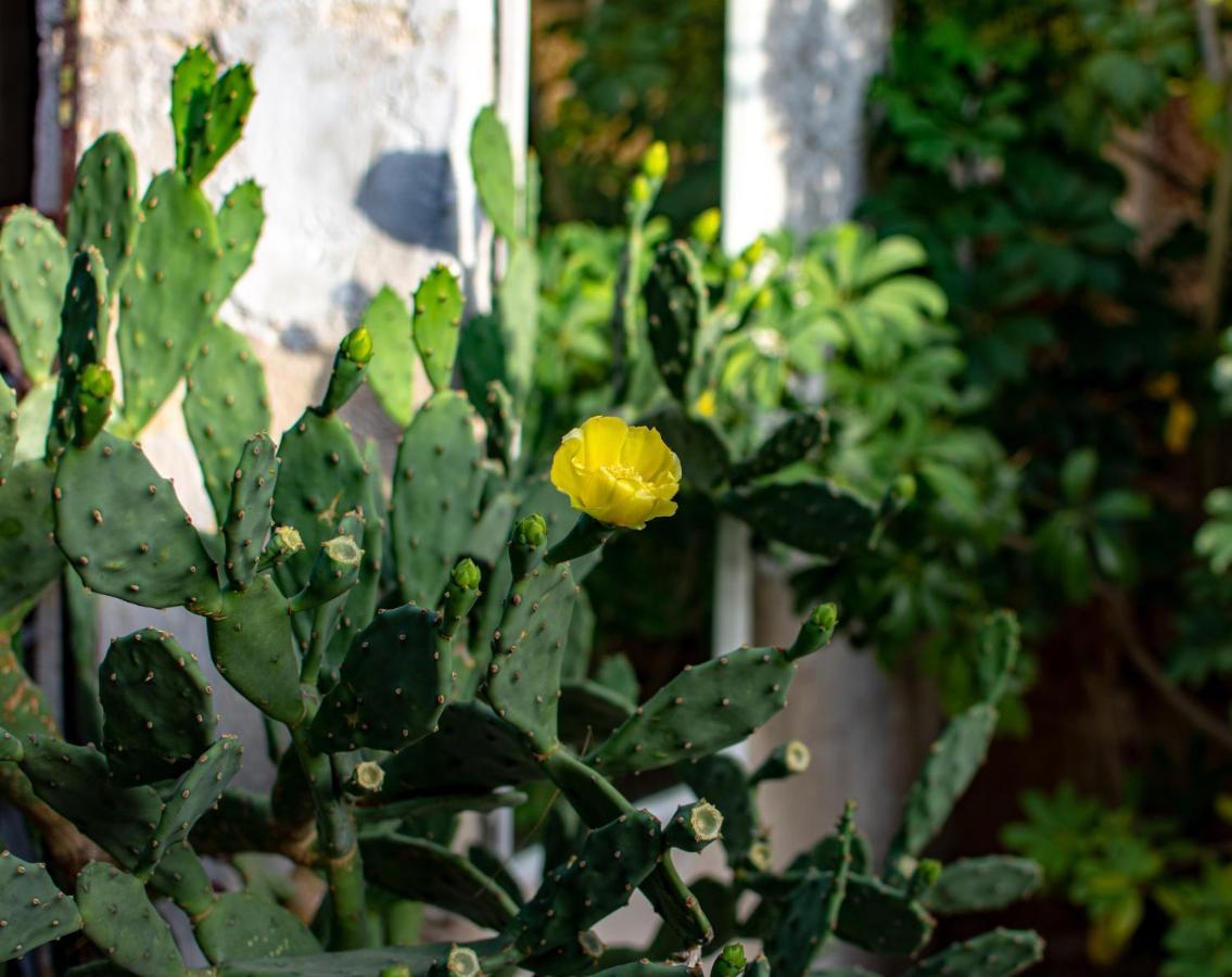 Suite Private Garden