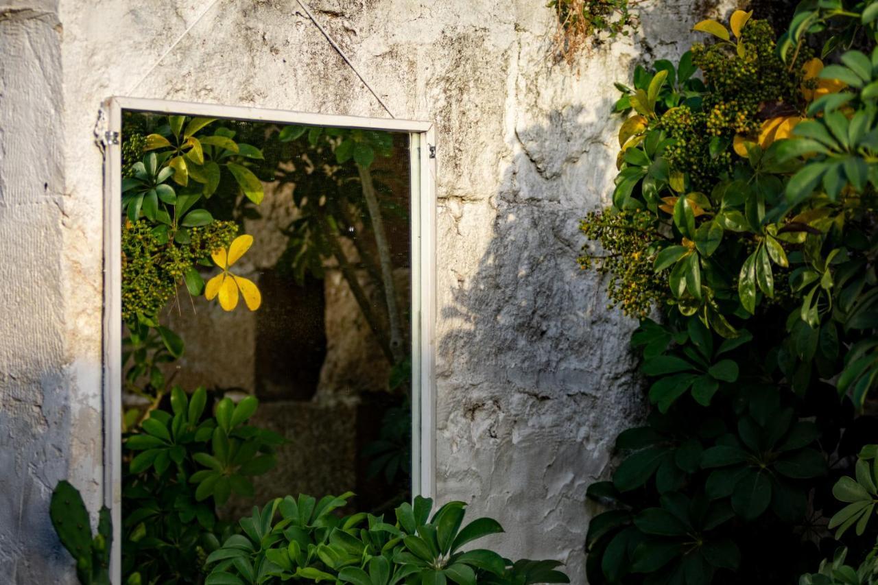 Suite Private Garden