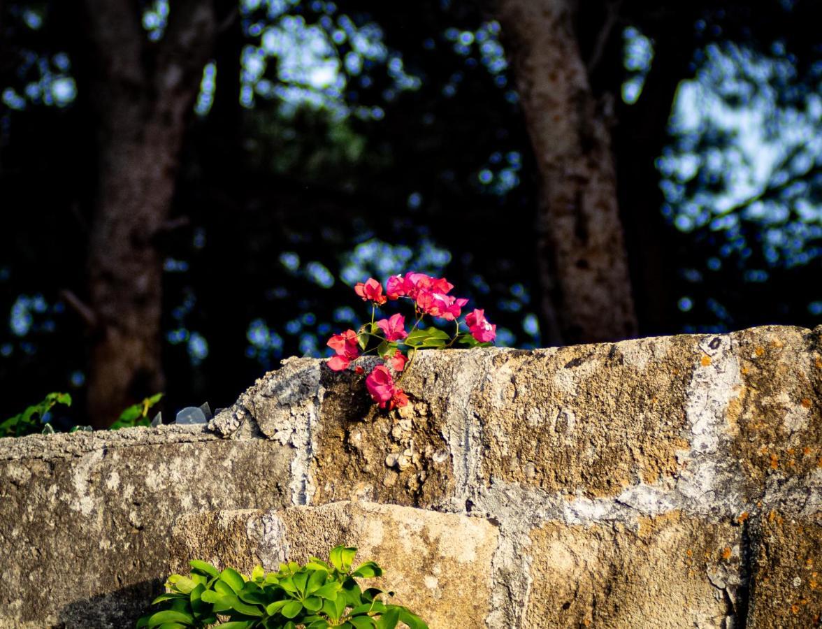 Suite Private Garden