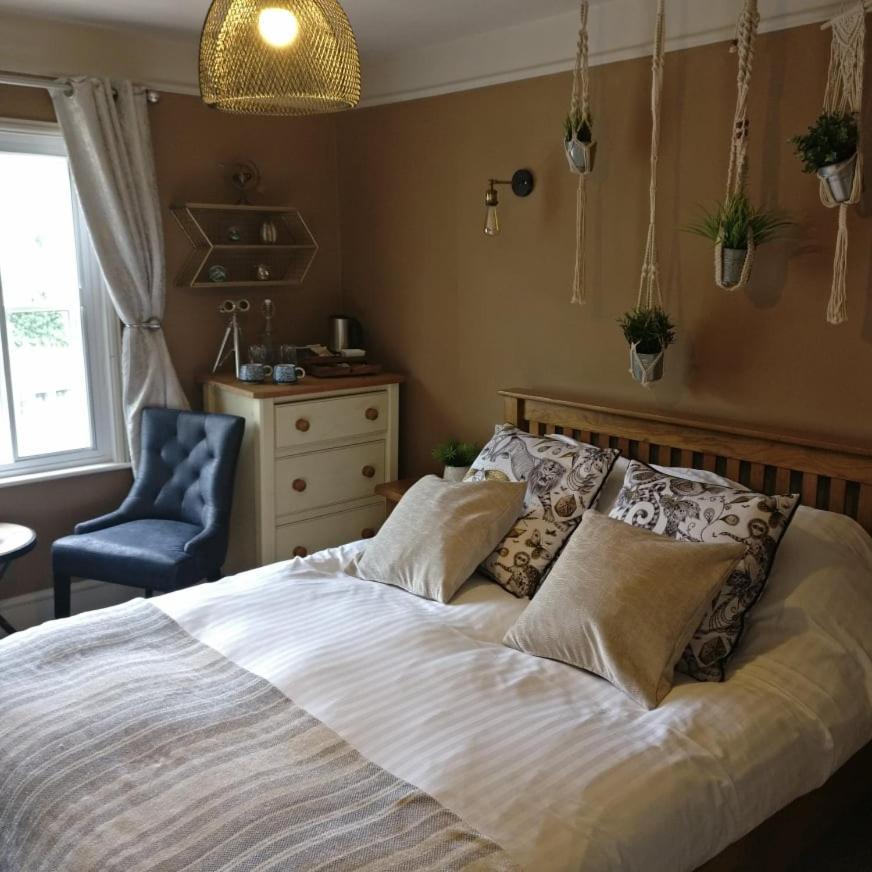 Standard King Room,1151061728:JPEG