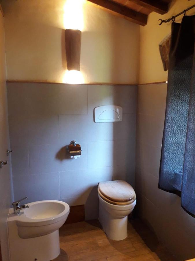 Superior Double or Twin Room Garden View