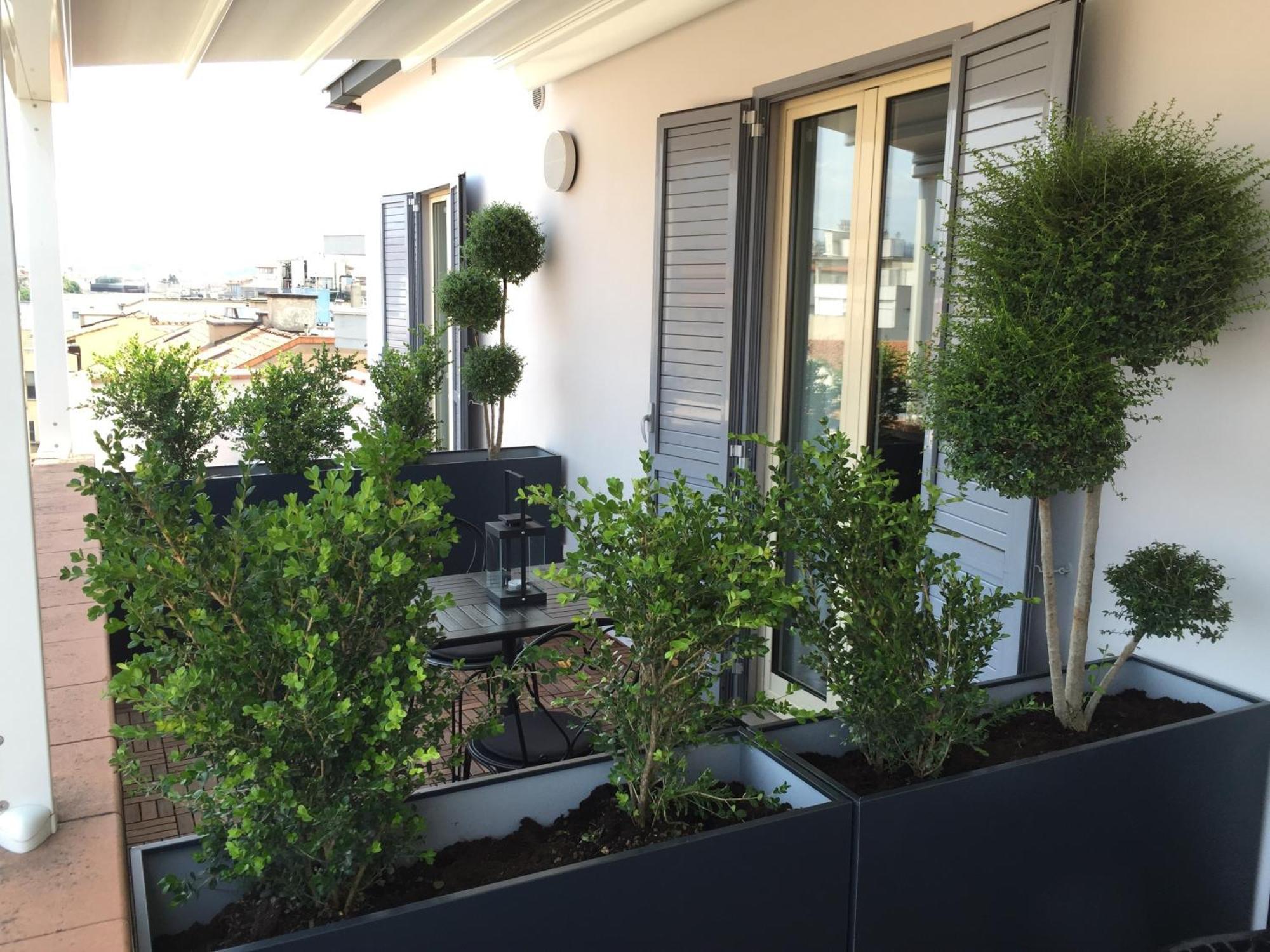 Superior Double Room with Terrace,1215889813:JPEG