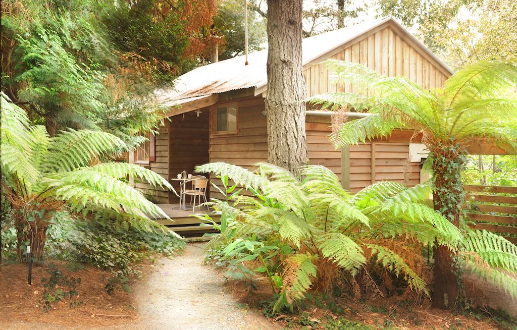 One Bedroom Cottage Forest,535380354:JPEG