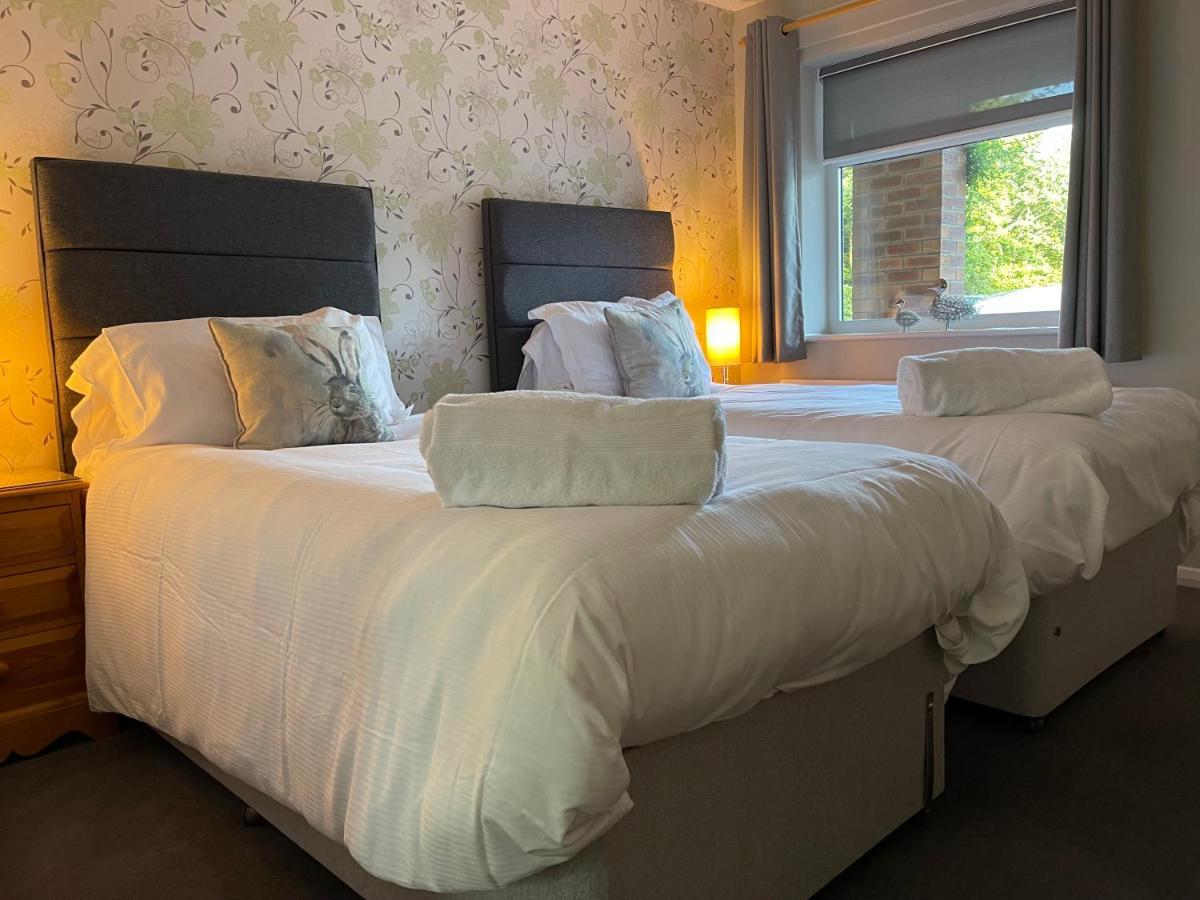 Standard Twin Room,1248348787:JPEG