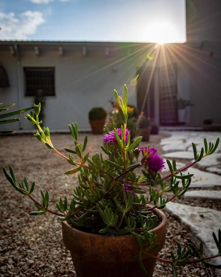 Suite Private Garden