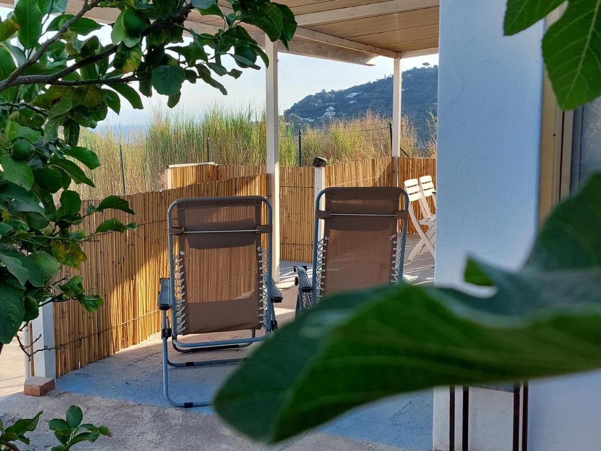 Deluxe Bungalow Sea View