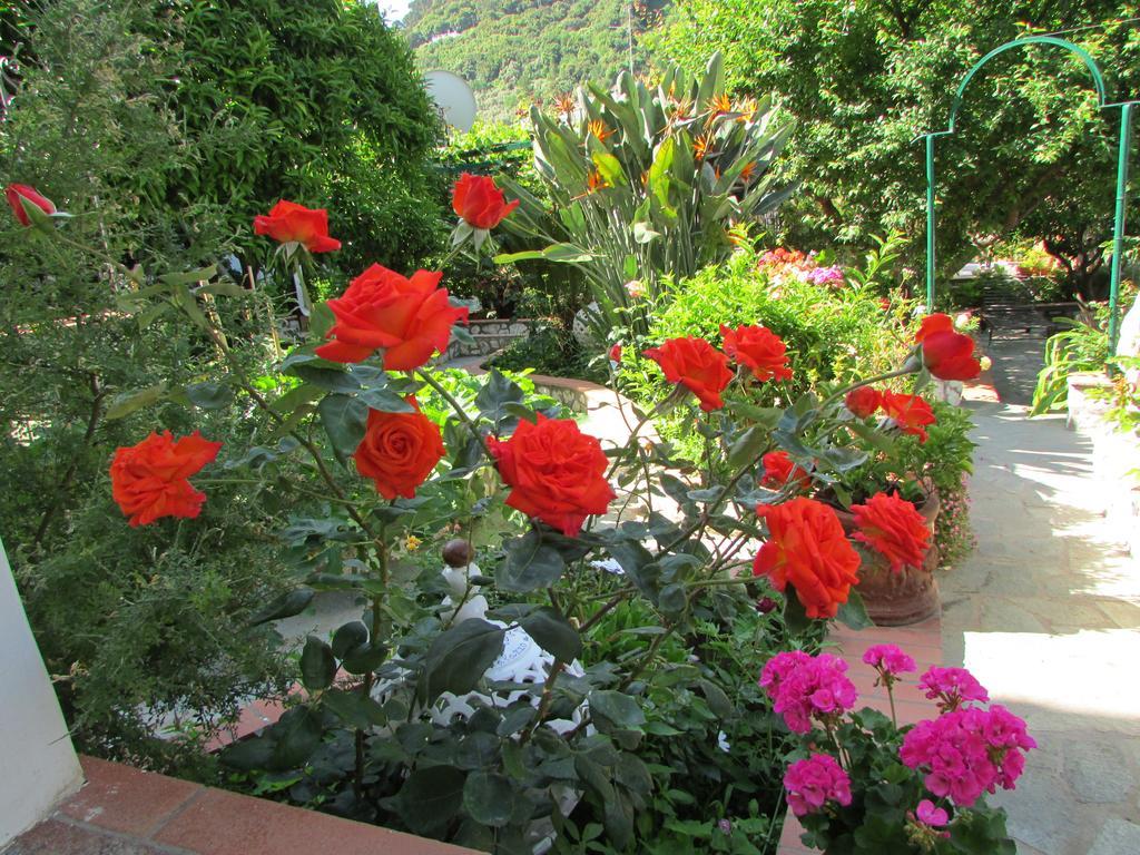 King Room Garden View,134955585:JPEG