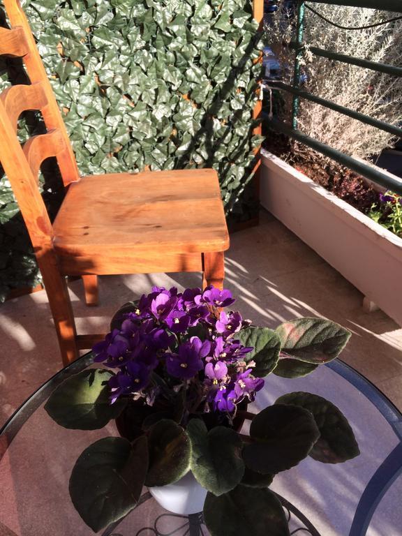 Double Room with Private Bathroom,237426005:JPEG