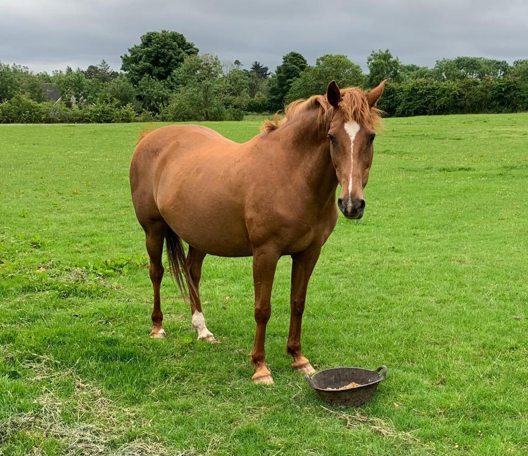 Deluxe Double Room,1556272321:JPEG