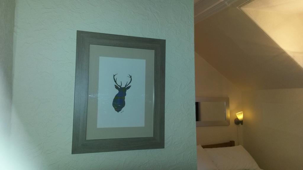 Standard  Double Room