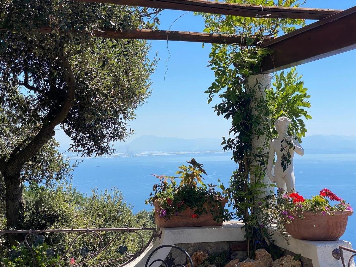 Double or Twin Room Garden View