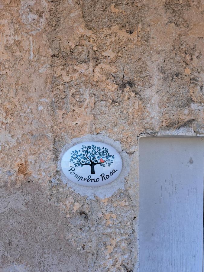 Suite Terrace,1590427491:JPEG