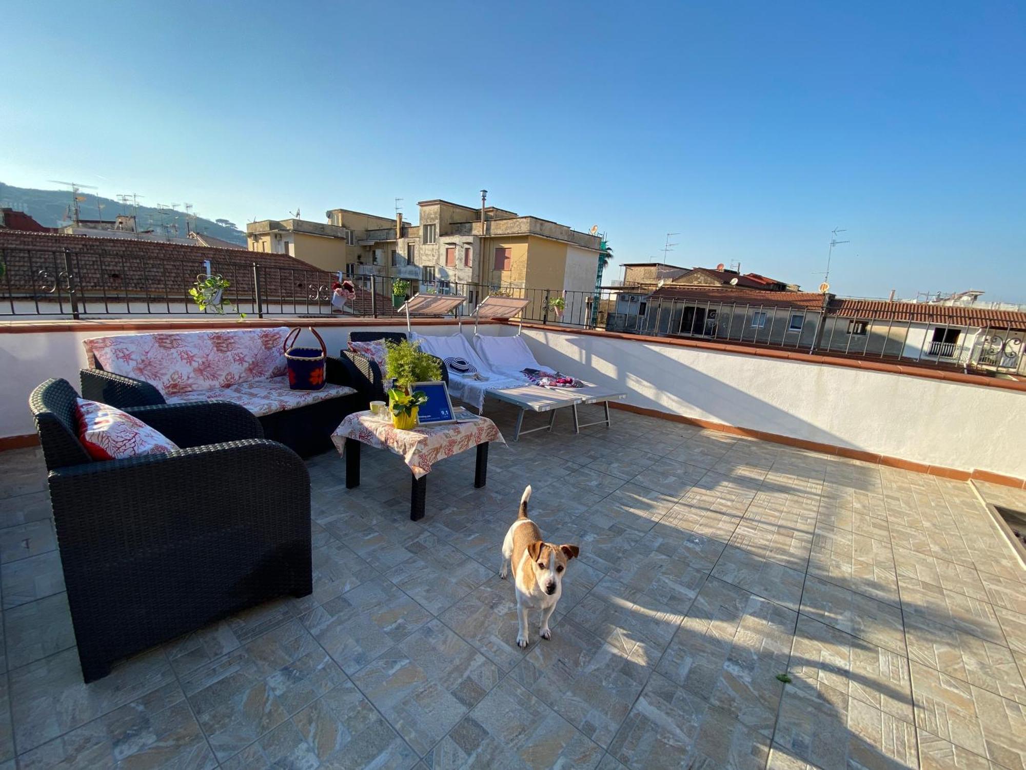 Double or Twin Room Terrace