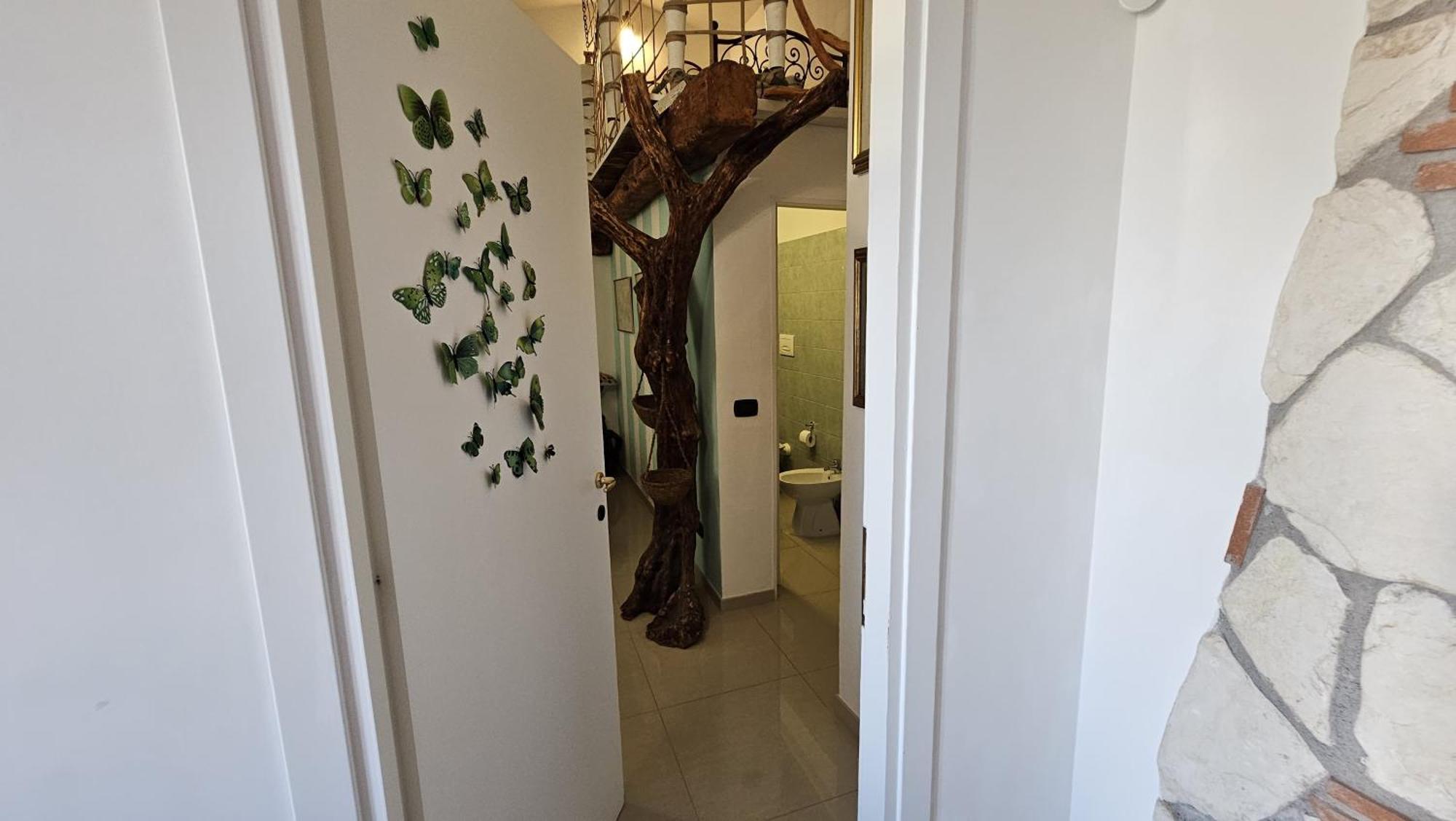Large Double Room