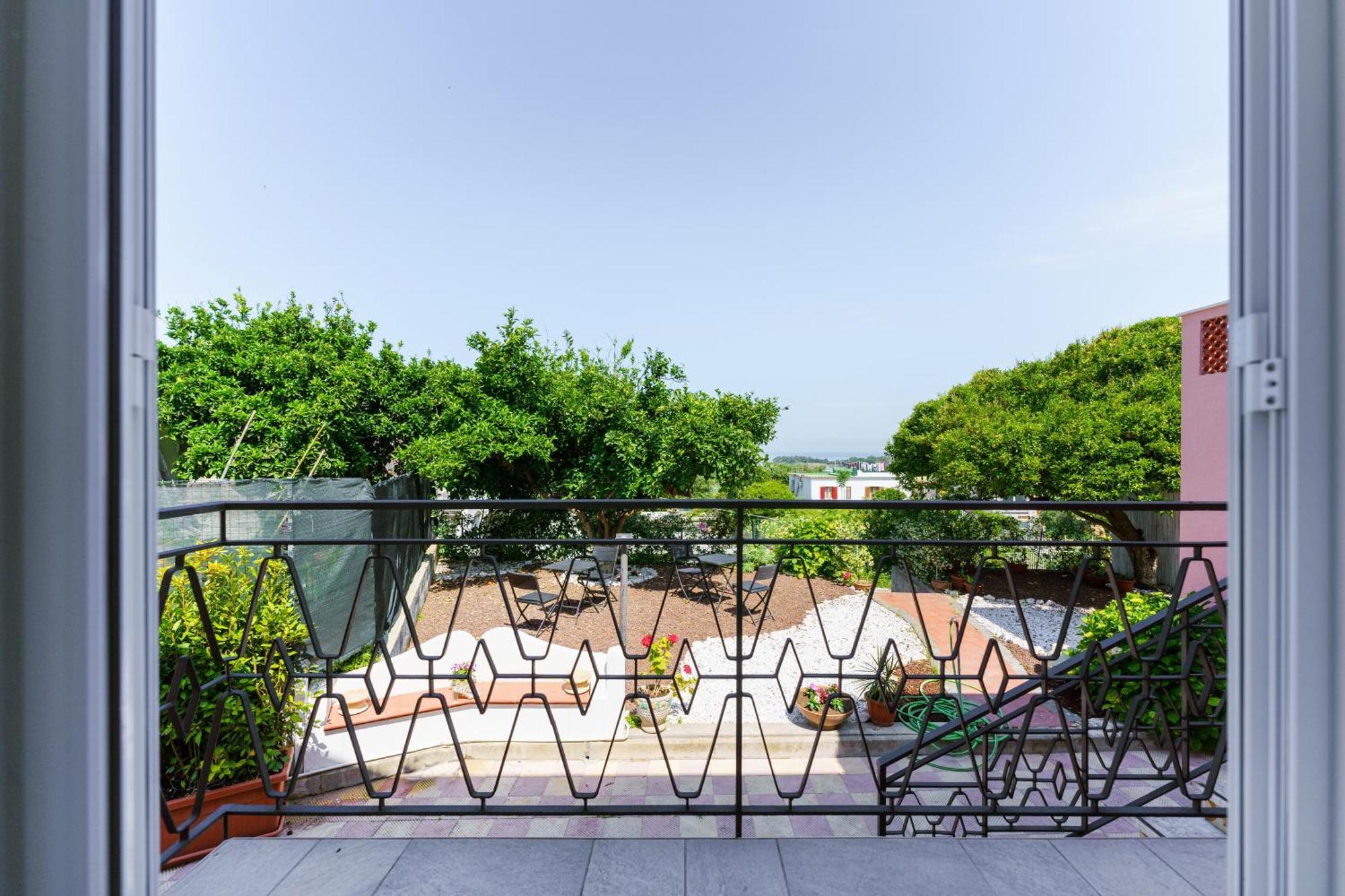 King Room Garden View