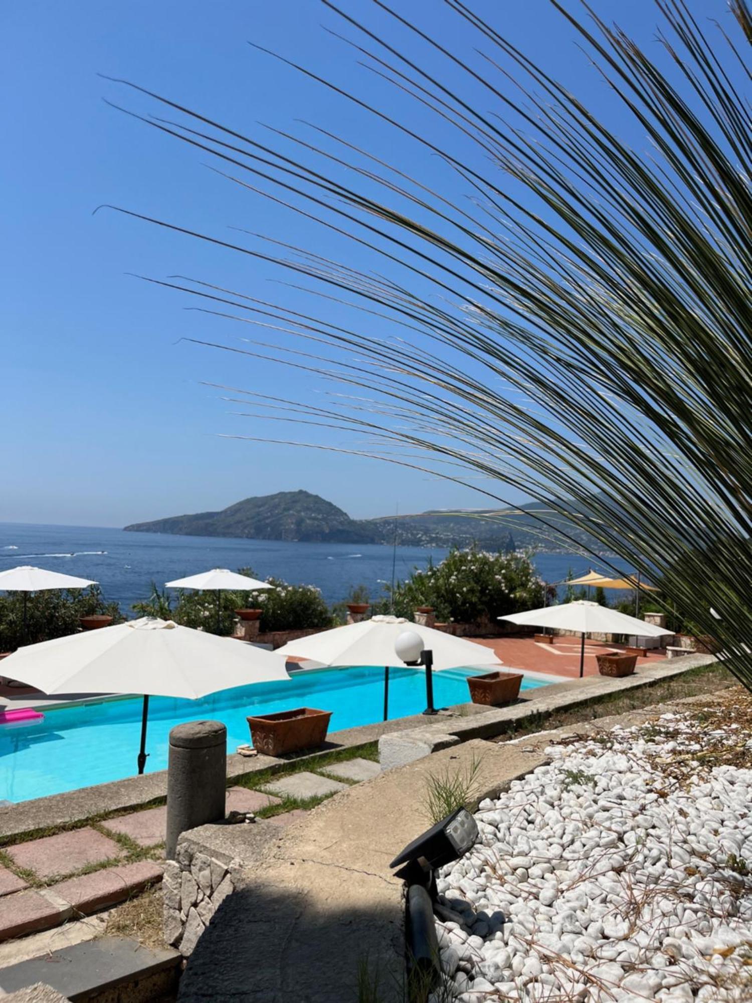 Two-Bedroom Apartment Pool View