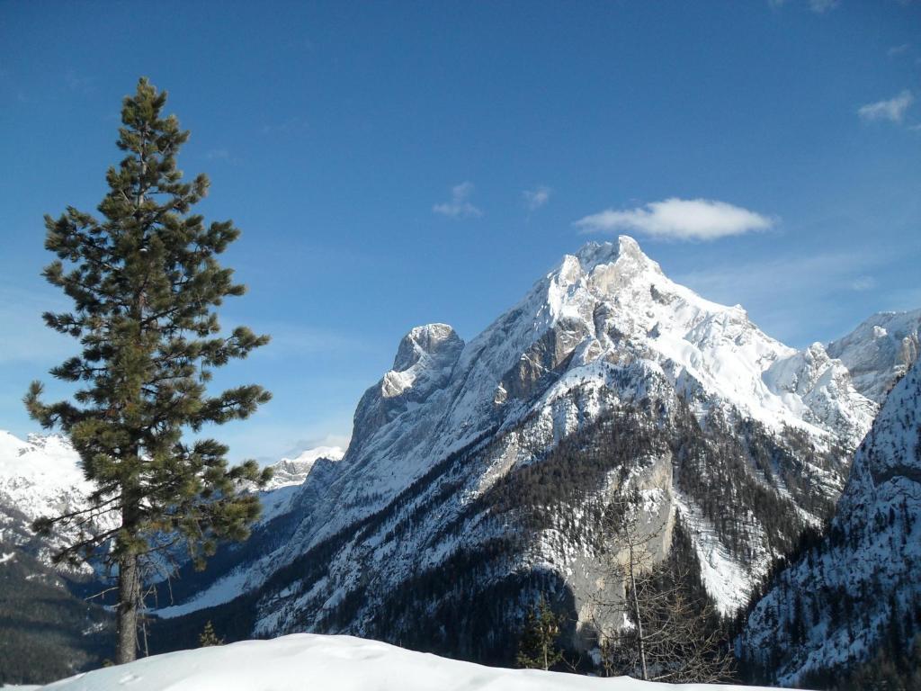 Double or Twin Room with Mountain View,670315164:JPEG