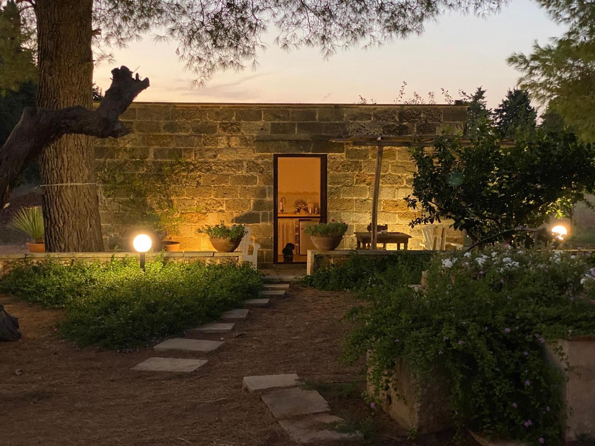 Studio Garden View