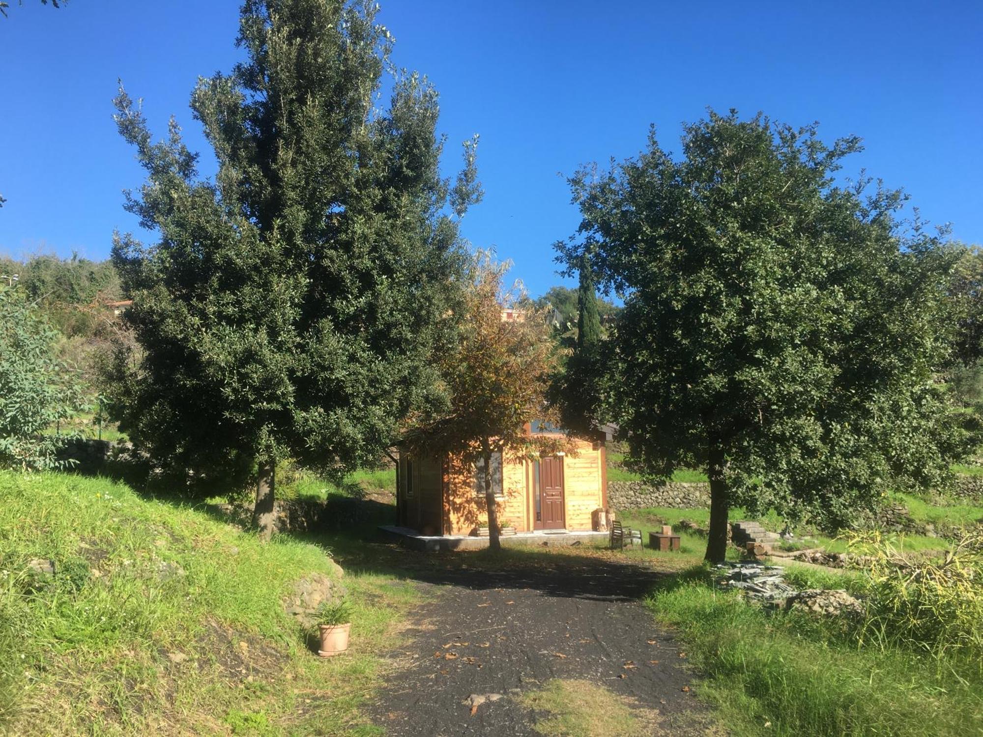 Bungalow