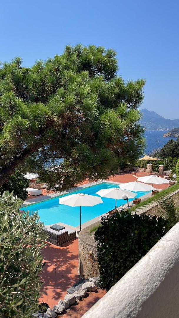 Two-Bedroom Apartment Pool View