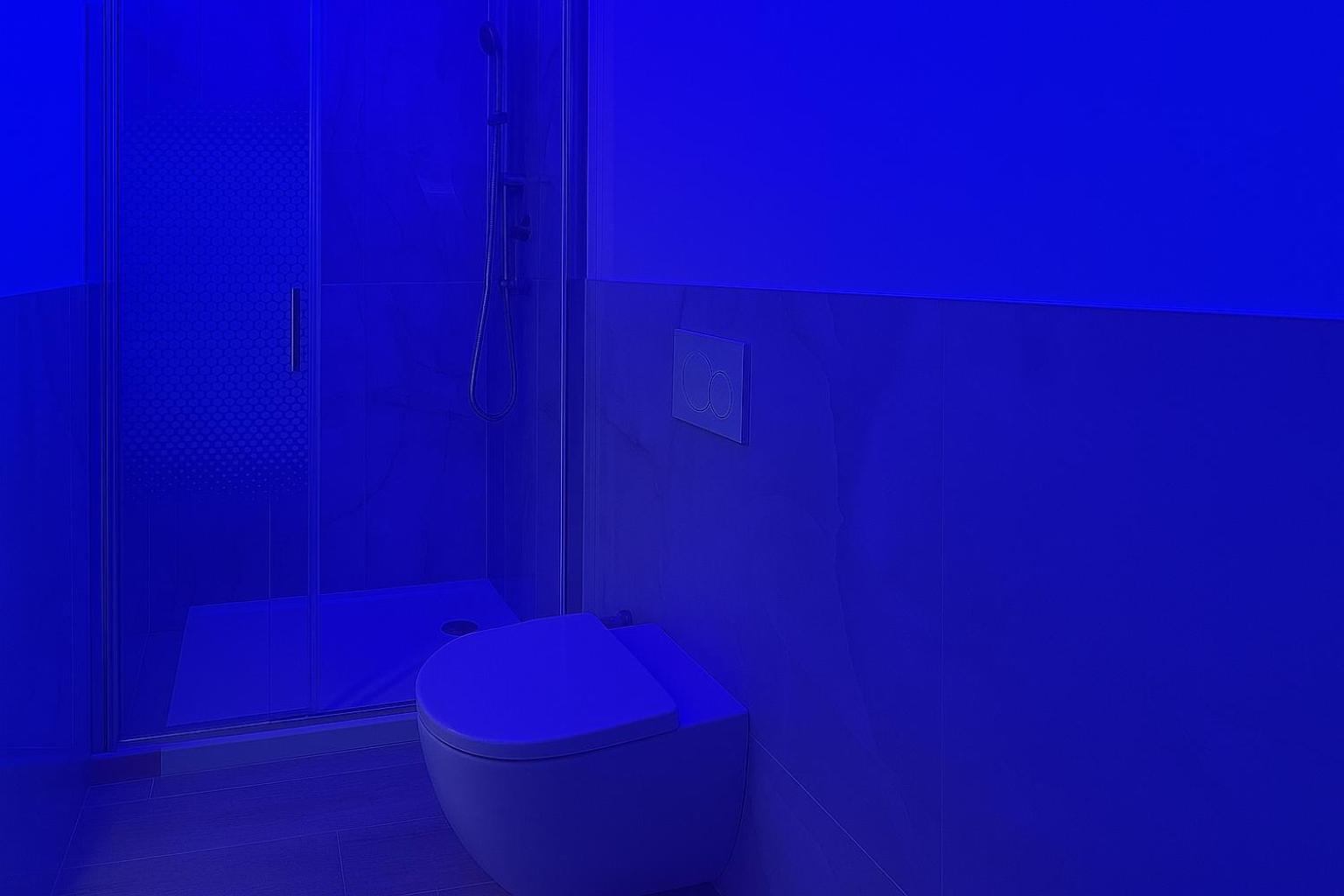 Appartamento con 2 Camere da Letto
