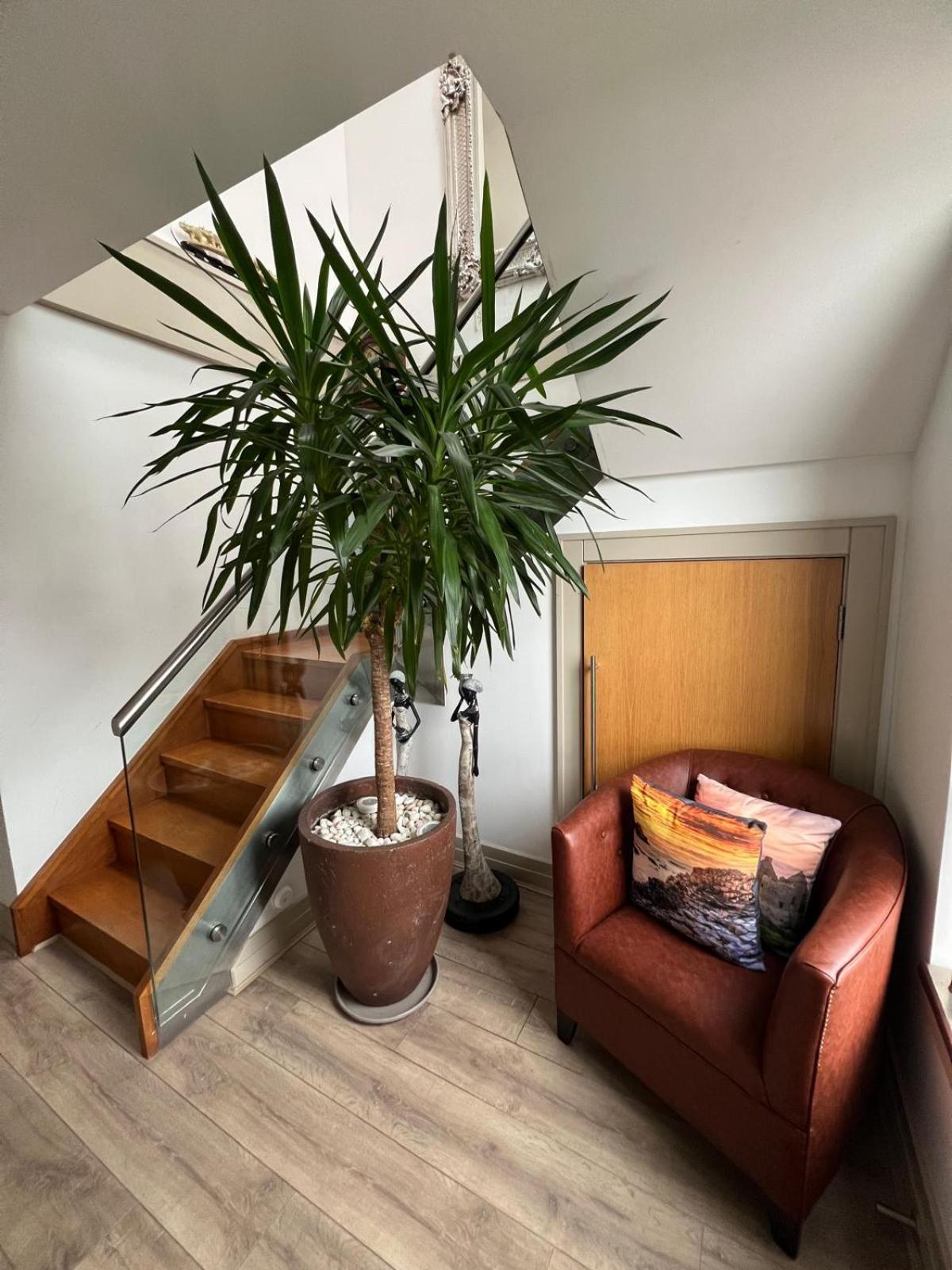 Family Two-Bedroom Apartment View