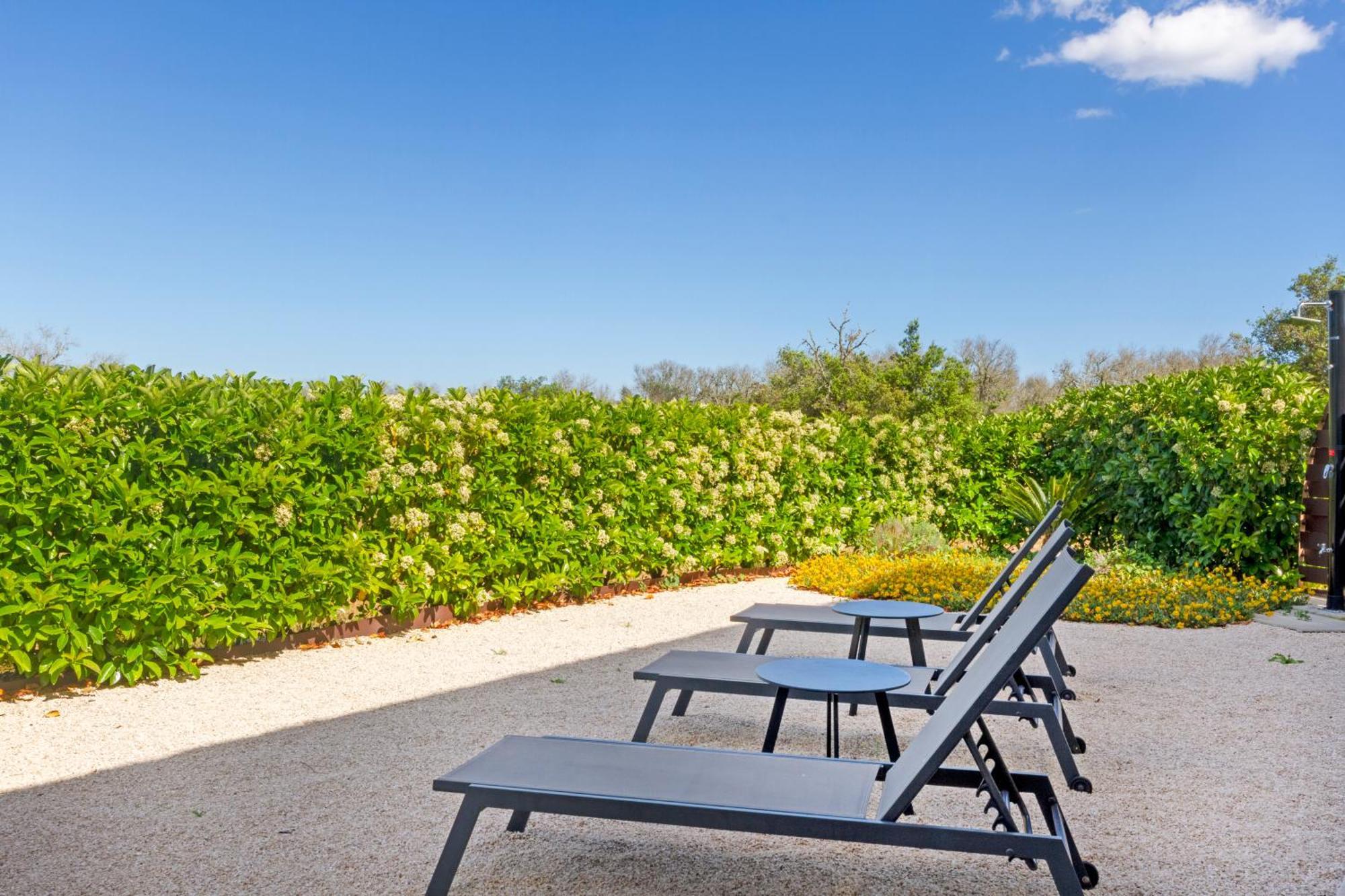 Junior Suite Garden View