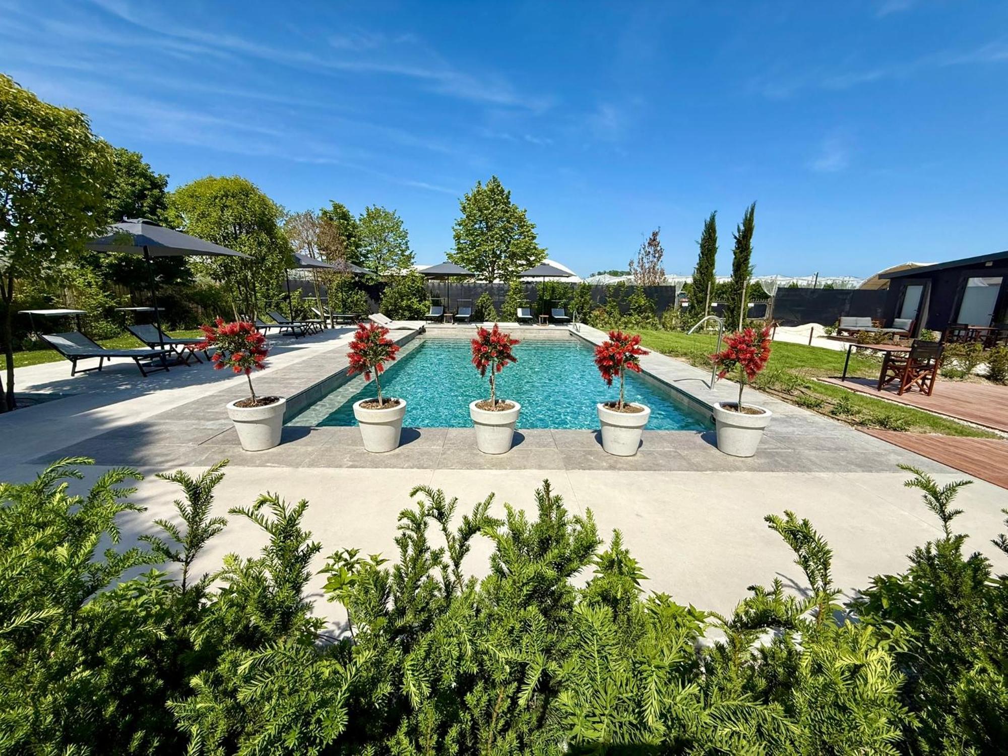 Junior Suite Garden View