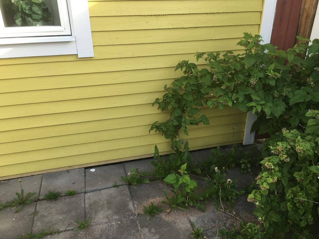 Lägenhet Superior med 2 sovrum