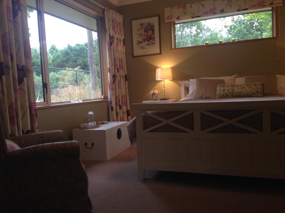 Deluxe Queen Room,613263080:JPEG