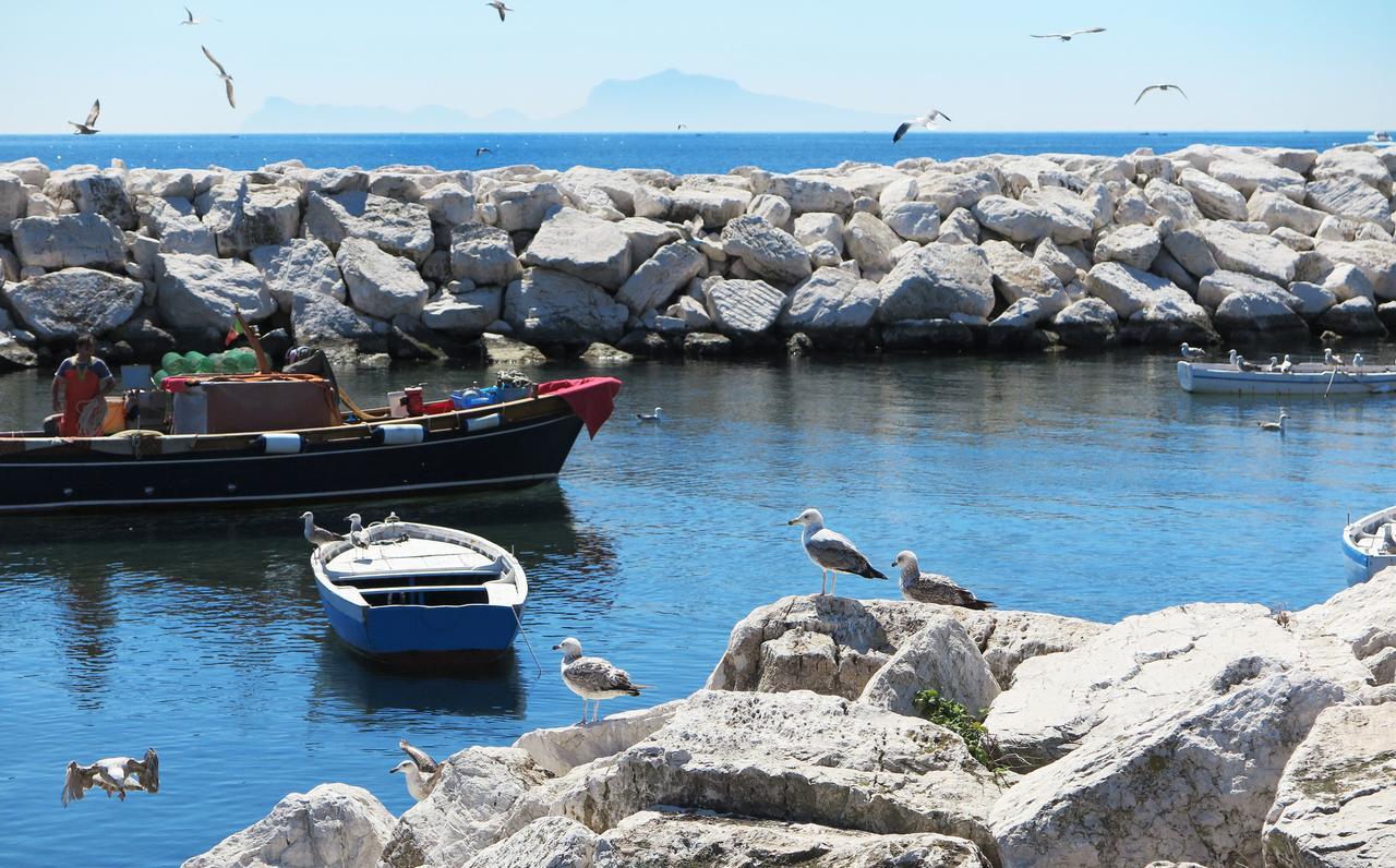 Monolocale con Terrazza e Vista Mare