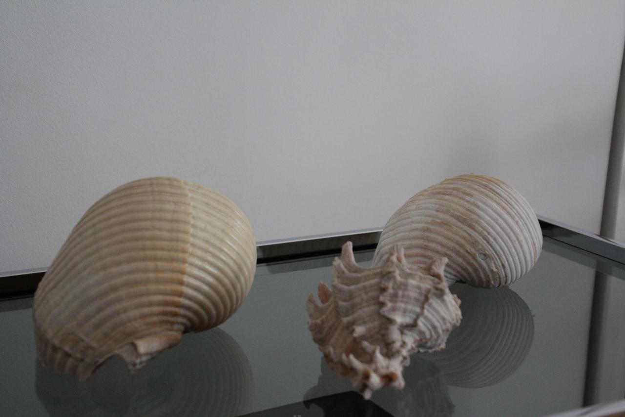 Double Room with Balcony,776639689:JPEG