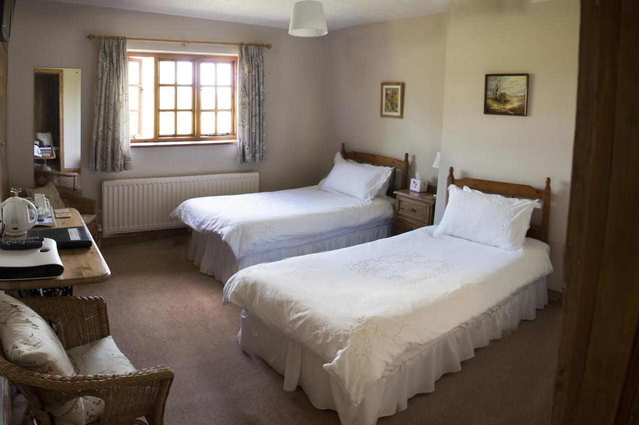 Twin or King Room,665247786:JPEG