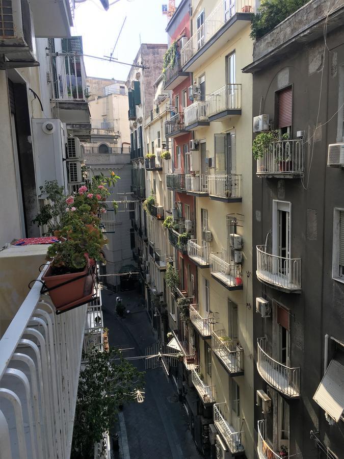 Double Room with Balcony,737923522:JPEG