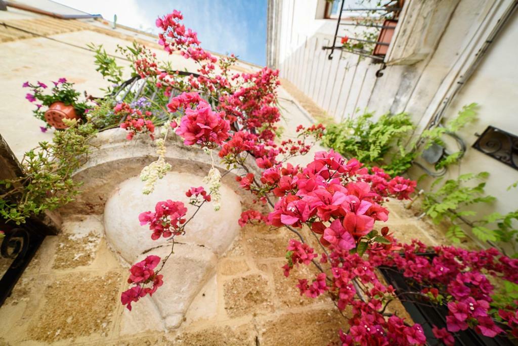 Superior Apartment at Via Rini n37