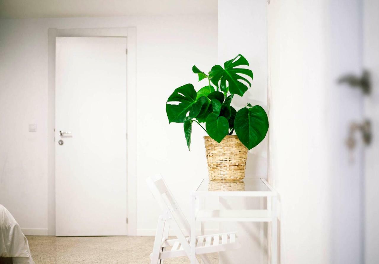 Habitación cuádruple