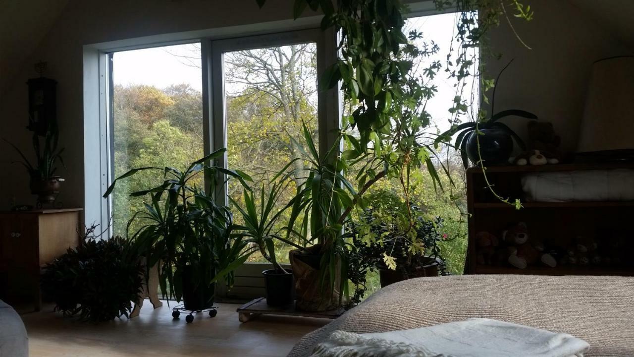 Dobbeltværelse med haveudsigt
