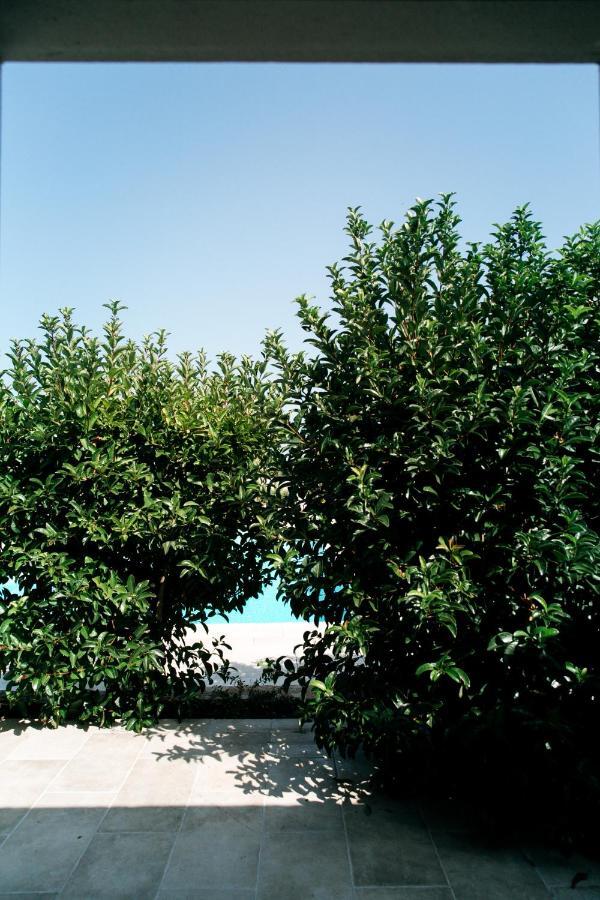 Triple Room Terrace