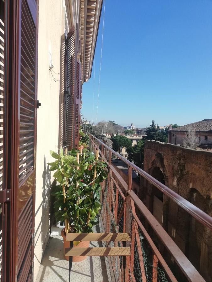 Triple Room View