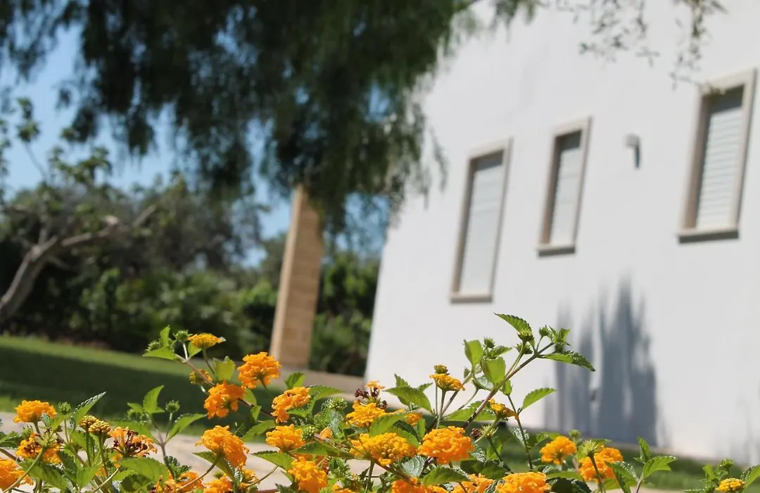 Paloma B&B-1